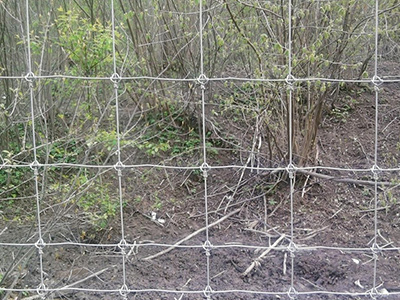 山東鹿網(wǎng)圍欄