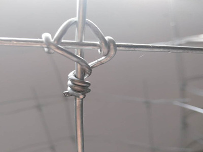 鹿網(wǎng)圍欄 鹿網(wǎng)圍欄