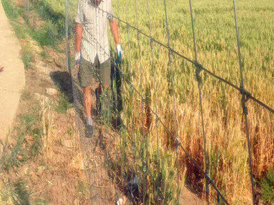 鹿網(wǎng)圍欄 鹿網(wǎng)圍欄