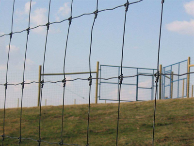 草原圍欄網(wǎng)