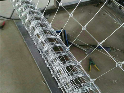 草原圍欄網(wǎng)