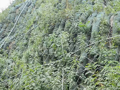 邊坡防護(hù)網(wǎng)